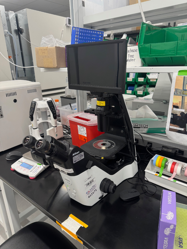 Image of Nikon Eclipse Ts2-FL Inverted Fluorescence Microscope